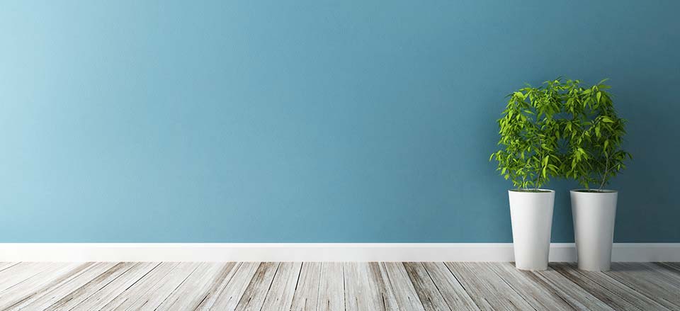 Blue Painted Wall
